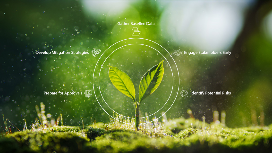 Environmental and Social Assessments (IEE & EIA)